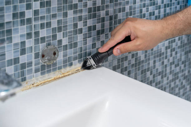 Professional Mold Removal in Medina, NY